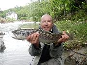 Big Brown trout, Slovenia fly fishing